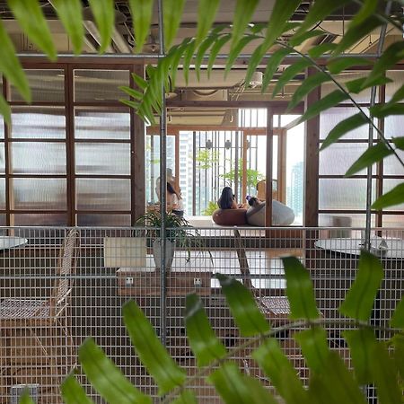 Star Hostel Taichung Parklane Esterno foto